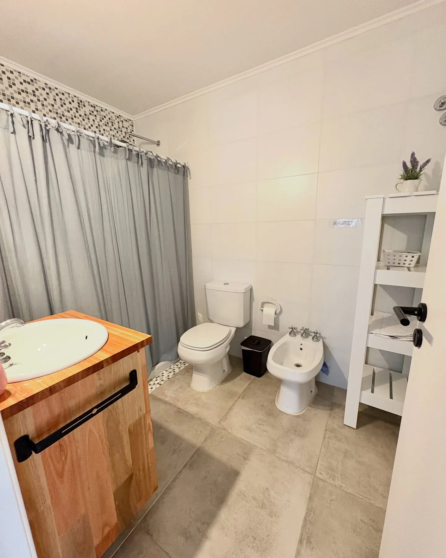 Baño con ducha y bidet